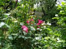 P1019260