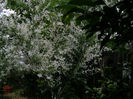 P1019267