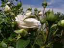 P1019325