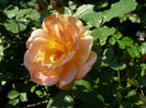 P1019204