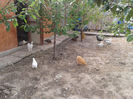 20140522_101434