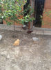 20140522_101509