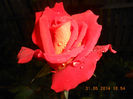 DSCN8914
