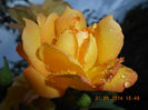 DSCN8895