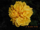 DSCN8877