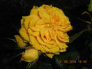 DSCN8879
