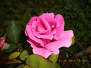 DSCN8868