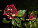 DSCN8862