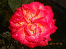 DSCN8889