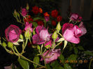 DSCN8927