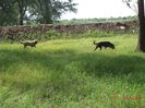 DSC01301