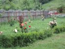 DSC04303
