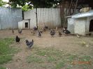 DSC01227