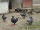 DSC01224