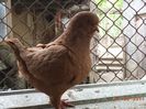 DSC01214