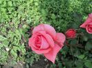 DSC04273
