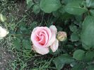 DSC04257