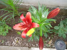 IMG_20140602_204047