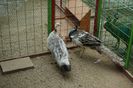 DSC05349
