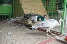 DSC05395