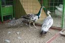 DSC05402