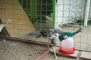 DSC05405
