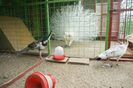 DSC05437