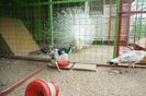 DSC05439