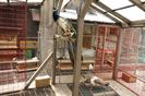 DSC04864