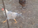 20140526_202728