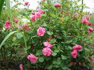 DSC04720