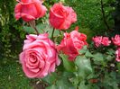 DSC04728