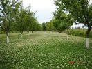 DSC04731