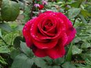 DSC04007