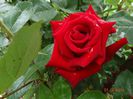 DSC04015