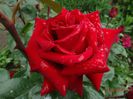 DSC04012