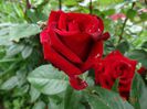 DSC04014