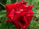 DSC04020