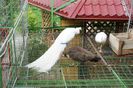 DSC05159