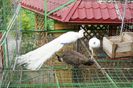DSC05160
