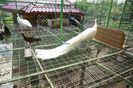 DSC05704
