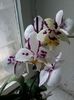 20140602_132757