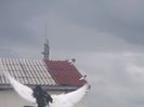 DOUA BATAI DE ARIPI SI...