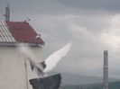 ......SUNT PORUMBEL ADEVARAT !!!
