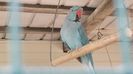 20140604_065112