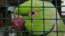 20140604_064852