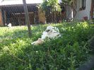 20140603_151817