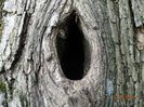 DSC04099