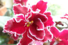 SAM_2482