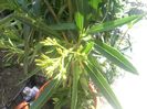 IMG_20140603_170853